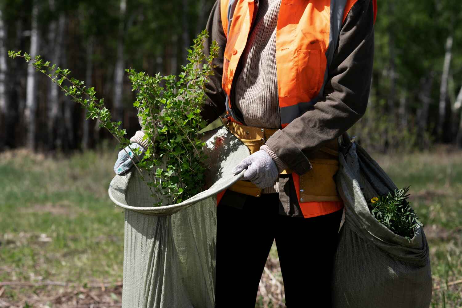 Best Professional Tree Care  in USA